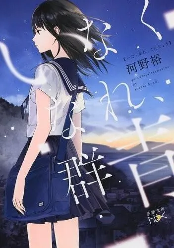 阶梯岛系列